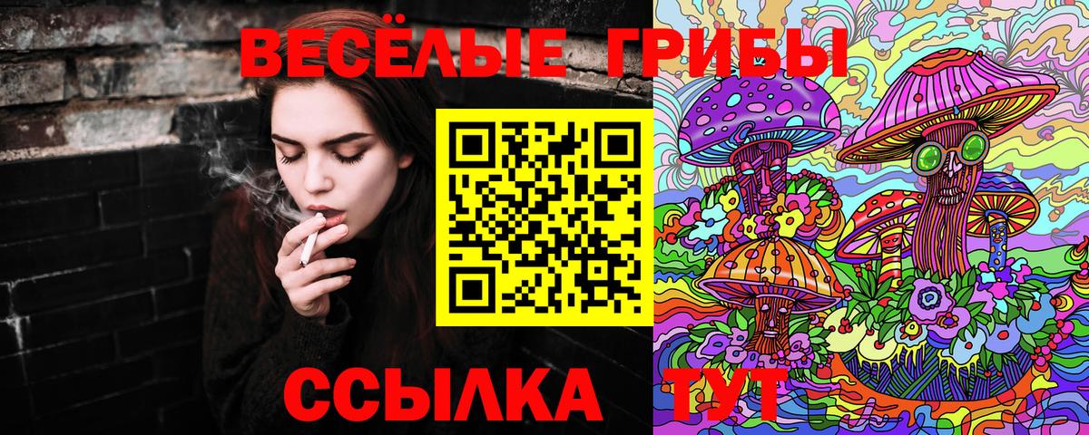 Галлюциногенные грибы мицелий Ишимбай