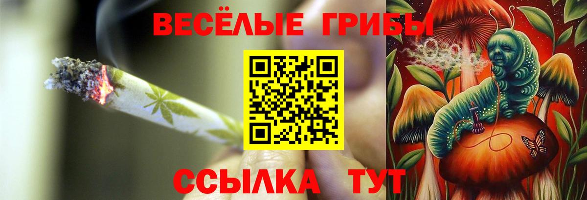 Ишимбай  Псилоцибиновые грибы прущие грибы  Вход с VPN 